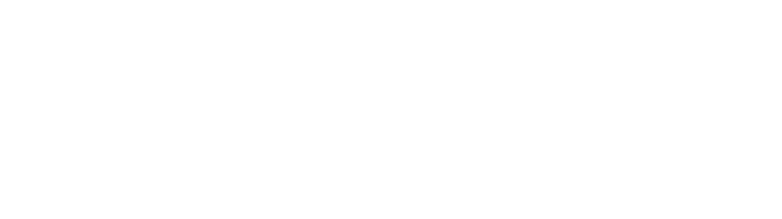 vesios Logo